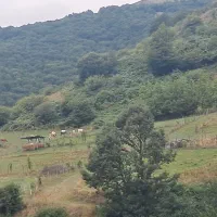 زمین-در-روستای-بیدهند