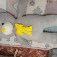 خرس|اسباب‌بازی بچه|سقز, |دیوار