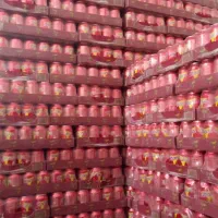 شانی مانستر ردبول