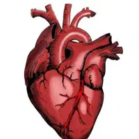 تدریس زیست شناسی دبیرستان و کنکور
