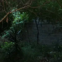 خانه ویلایی|فروش خانه و ویلا|رشت, لاکان شهر|دیوار