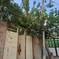 فروش زمین ۸۰ متری در حصار|فروش زمین و ملک کلنگی|کرج, حصار|دیوار