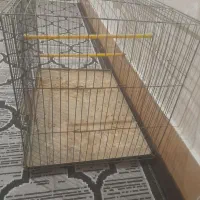 قفس پرنده درجه یک