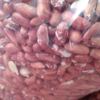 بادام کره گیری و برشته|خوردنی و آشامیدنی|تهران, زعفرانیه|دیوار