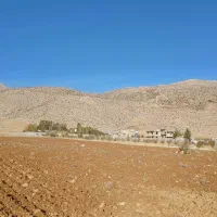 زمین بکر  سپیدان  هماشهر  تیس خانی|فروش زمین و ملک کلنگی|همایجان, |دیوار