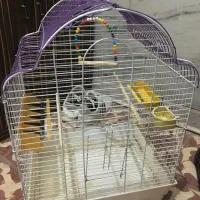 قفس پرنده|لوازم جانبی حیوانات|میانه, |دیوار