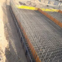 آرماتور بندی و قالب بندی استخر، دیوار برشی،سپتینگ