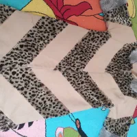 پالتو دو عدد|لباس|اردبیل, |دیوار