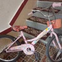 دوجرخه|دوچرخه، اسکیت، اسکوتر|سردشت, |دیوار