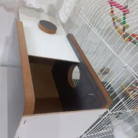 قفس بزرگ پرنده|لوازم جانبی حیوانات|ارومیه, |دیوار