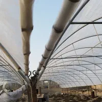 نصاب و جوشکار گلخانه هستیم