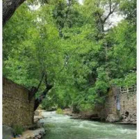 تور بانوان کردان