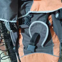 کالسکه گودبیبی goodbaby