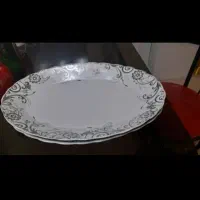 دیس غذا خوری