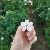 رهن و اجاره آپارتمان