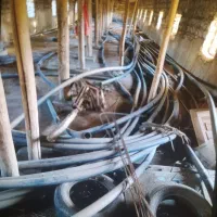 لوله قطره بارانی