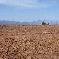 کاشت بذر پسته در منطقه سروستان