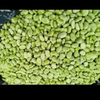 باقلا بدون پوست تازه