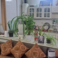 ۷۵متر ویلایی یک طبقه خ پروین پل سرهنگ ابتدای معراج