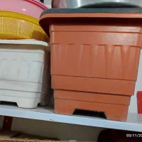 گلدان بزرگ|گل و گیاه طبیعی|الوند, |دیوار