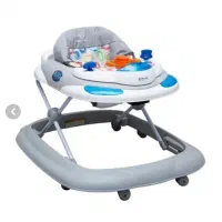 رورویک دلیجان