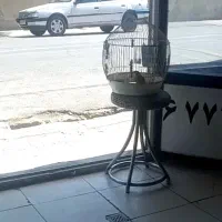 سهرخاکی دهن لر