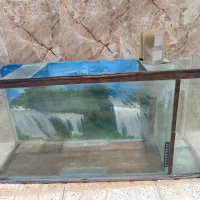 آکواریوم شیشه ای سالم توافقی
