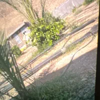 فروش1/600متر باغ شهری