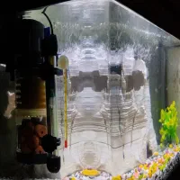 آکواریوم شیشه خم ( با تمام تجهیزات )|ماهی|تهران, جابری|دیوار