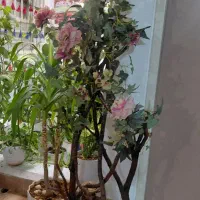 گل منصوعی خیلی زیبا|گل مصنوعی|مسجد سلیمان, |دیوار