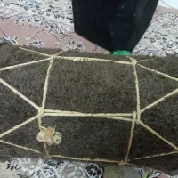دمام