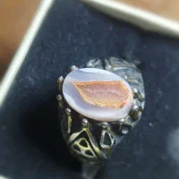 انگشترهای مردانه|بدلیجات|فردوس (خراسان), |دیوار