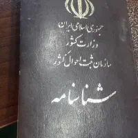 شناسنامه پیدا شده