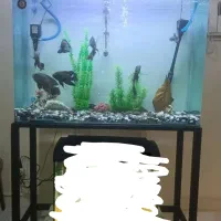 آکواریوم کامل بزرگ
