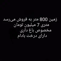 زمین 800 متر داخل روستا مخصوص باغ