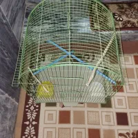 قفس پرنده|لوازم جانبی حیوانات|بروجرد, |دیوار