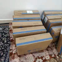 بادام درختی 2325