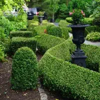 خدمات باغبانی لواسان فشم میگون شمشک درسراسر لواسان|خدمات باغبانی و درختکاری|لواسان, |دیوار