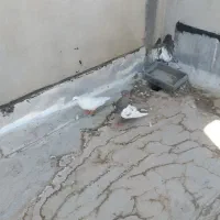 کبوتر