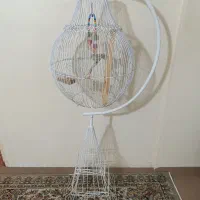 قفس پرنده