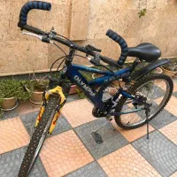 فروش دوچرخه المپیا|دوچرخه، اسکیت، اسکوتر|شاهرود, |دیوار