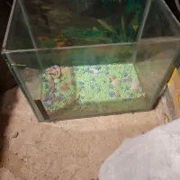 اکواریم معاوضه