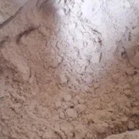 پودر balut