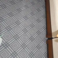 موکت نو ب رنگ طوسی فیلی|موکت|دورود, |دیوار