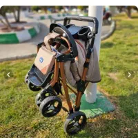 کالسکه در حد نو