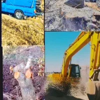 خریدار انواع چوب و ریشه با بالاترین قیمت روز نقد