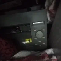 کاتر رولند