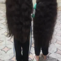مو میخرم