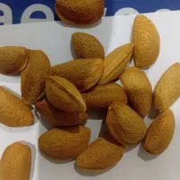 فروش بادام مامایی (صادراتی)