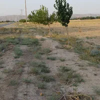 زمین کشاورزی متراژ۷۱۵ متر|فروش زمین و ملک کلنگی|مشهد, گلبرگ شمالی|دیوار